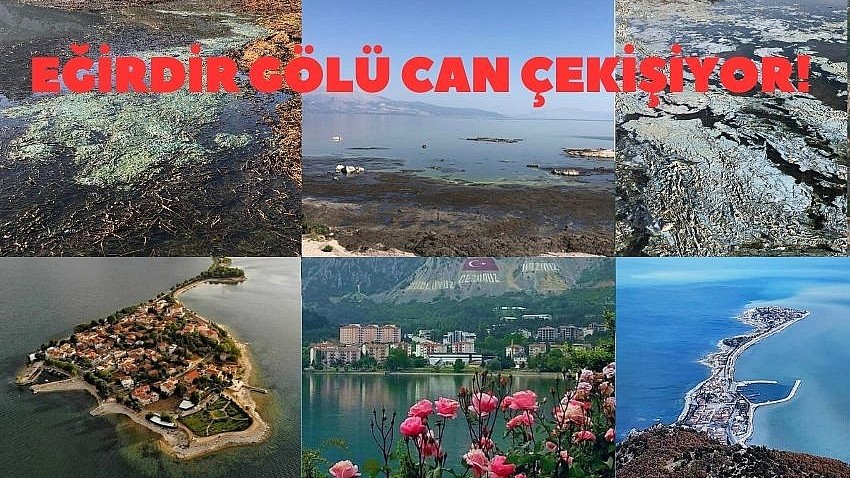 Eğirdir Gölü Kurtarılmayı Bekliyor 